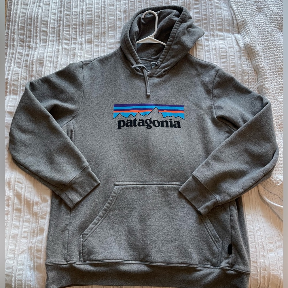 Patagonia hoodie, grey, size large